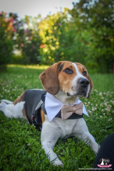 matrimonio-incisa-17-06-2018-184-1